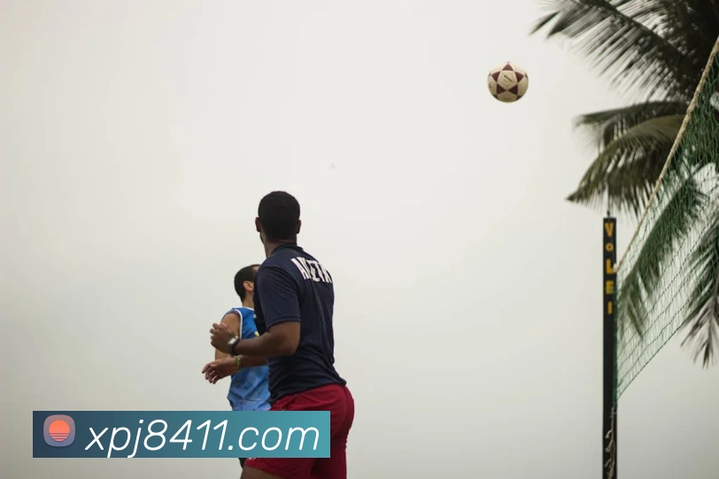 澳门新葡京网站服务体系